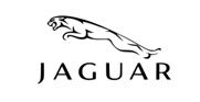 (English) Jaguar