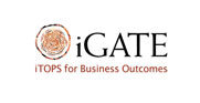(English) iGate